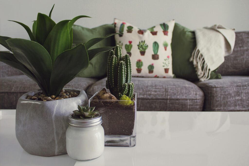 Finding mindfulness through 
 bringing nature indoors; Modern living room featuring potted plants, cactus decor, and a cozy sofa.