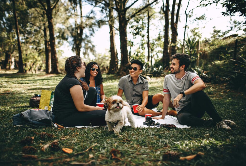 pexels-photo-745045-745045 Friends having a fun picnic in the park with a Shih Tzu, enjoying a sunny day outdoors enjoying a slow pace of life
